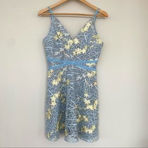 Fit & flare organza mini dress with embroidery